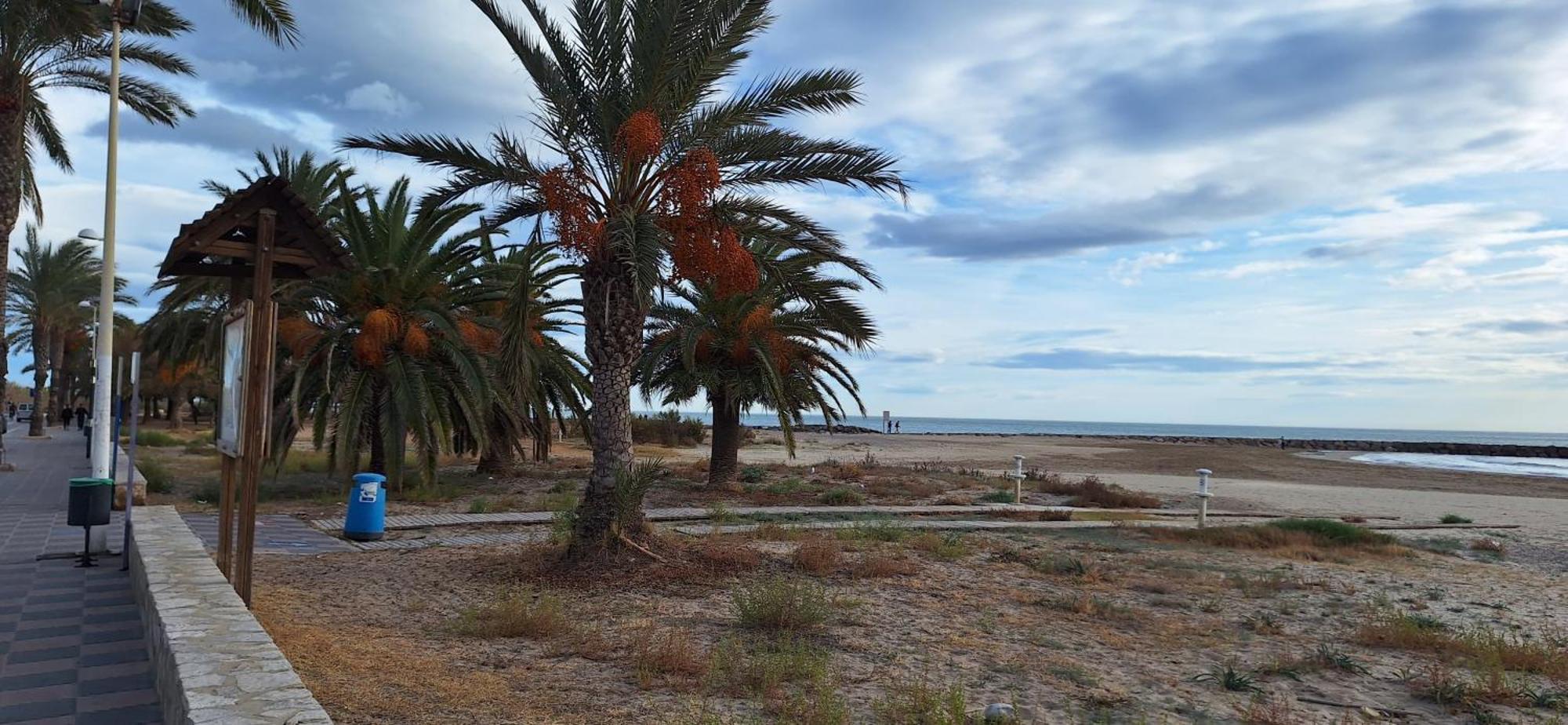 Sagunto Vacaciones En El Mar 아파트 외부 사진